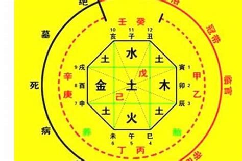 宸喜命理|宸字八字命理（宸辰姓名分析）